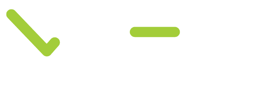 custom web application service